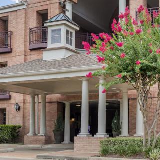 A building entrance with columns and a flowering tree nearby.