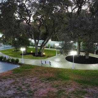 A serene night view of a well-lit park with trees and pathways.