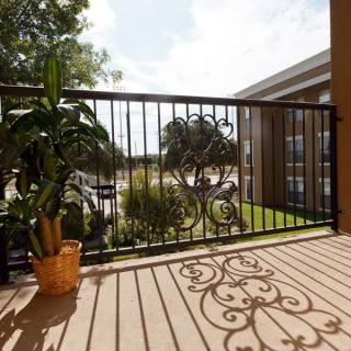 A sunny balcony with an iron railing casting intricate shadows and a potted plant adding greenery.