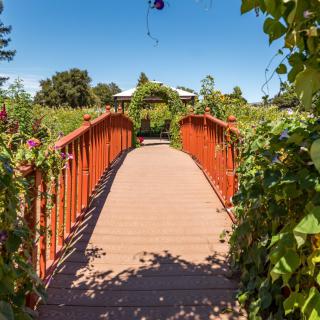 A wooden bridge surrounded by lush greenery in a garden setting.