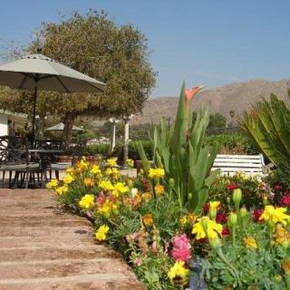 A serene garden with vibrant flowers, outdoor seating, and a picturesque landscape.