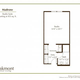 A floor plan of a studio suite measuring 555 sq. ft., featuring an entry, kitchen, bathroom, and main living area.