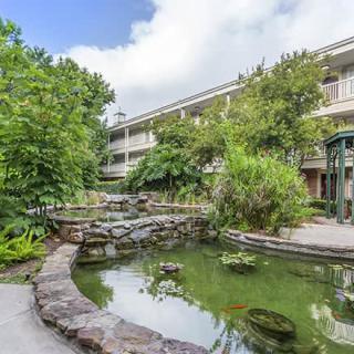 Tranquil garden pond surrounded by lush greenery and a multi-story building.