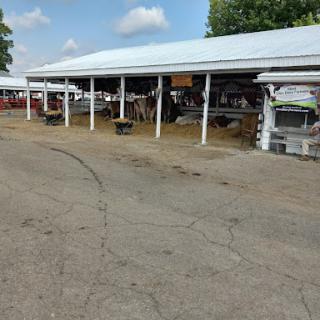 A view of the livestock area with barns and a pathway at a local fair.