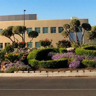Dept Of State Hospitals - Metropolitan