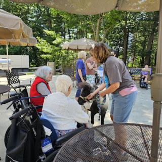 Elderly residents enjoy a visit from a friendly dog, fostering social connections and joy in an outdoor setting.