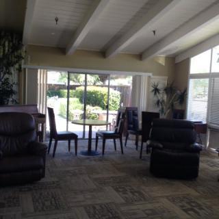 A cozy living room with chairs and natural light streaming through large windows.