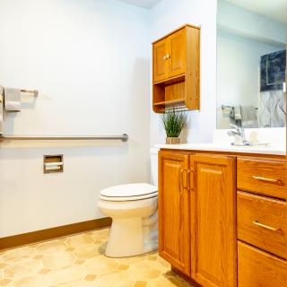 A spacious bathroom with wooden cabinetry, featuring a toilet and sink under a large mirror.