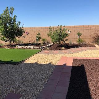 A backyard with a stone path, trees, and mulch landscaping.