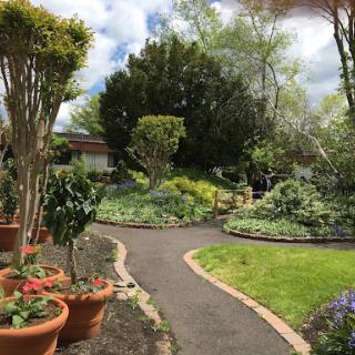 A serene garden pathway surrounded by vibrant plants and flowers, inviting a peaceful stroll through nature.