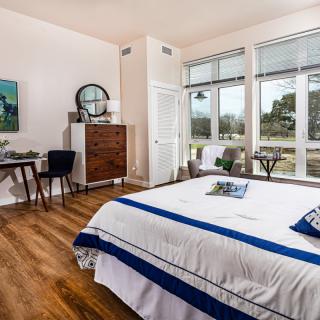 A modern and bright bedroom with wooden flooring, featuring a large bed, desk, and ample natural light from the windows.