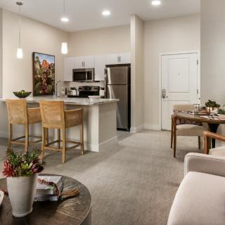 A modern apartment interior featuring an open kitchen and living area with stylish decor.