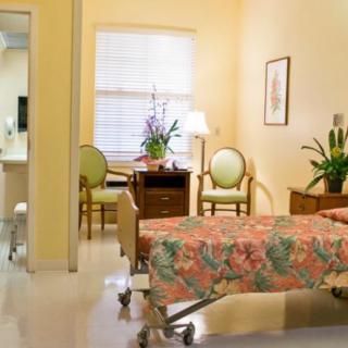 A well-decorated hospital room with a single bed, two chairs, and plants.