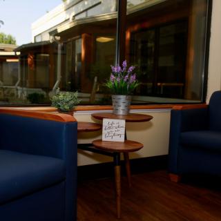 A cozy lobby area with blue chairs and a small table adorned with plants.