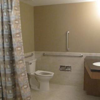 A bathroom with accessible features, including a toilet, sink, and grab bars next to the shower area.