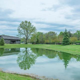 A serene landscape with a pond reflecting trees and the sky.