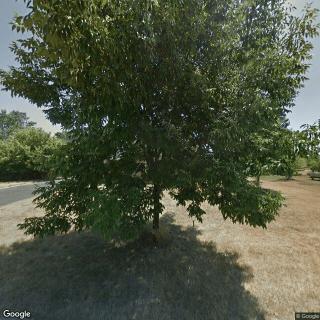 Cox Adult Family Home