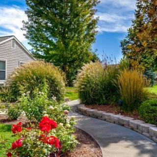 A beautiful garden pathway lined with vibrant flowers and lush greenery.