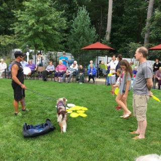 A group of people watch a dog performing with frisbees in a park setting.