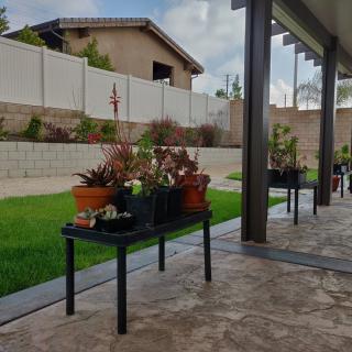 A tranquil backyard patio with potted plants and neatly trimmed grass.