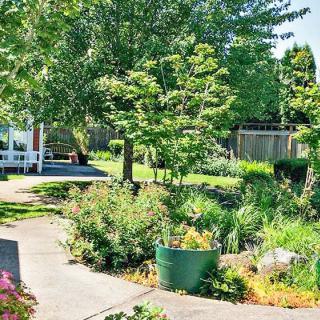 A sunny garden with lush greenery and a winding pathway.