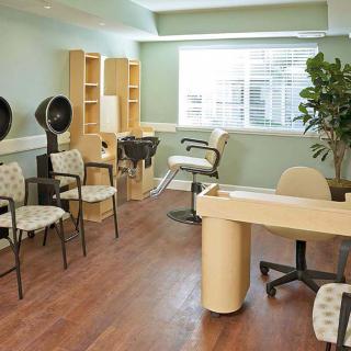 A well-lit salon interior with chairs, hair dryers, a manicure table, and a large plant by the window.