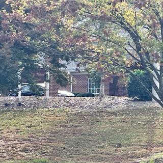A brick house is partially visible behind a group of trees with autumn foliage.