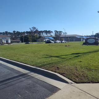 A sunny day showcasing a grassy area next to the road.