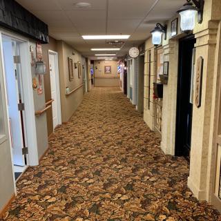 A long indoor hallway with patterned carpet and decorative lights.