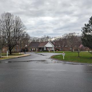 A quiet suburban street on a cloudy day, showcasing a peaceful neighborhood.