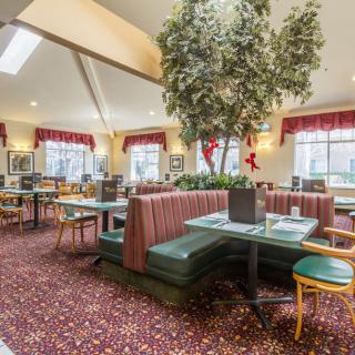 A cozy restaurant interior featuring booths, tables, and a decorative plant in the center.