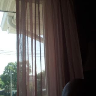 A glimpse of sunlight streaming through sheer curtains, revealing a serene outdoor setting.
