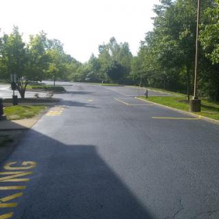 A spacious and empty parking lot surrounded by greenery on a sunny day.