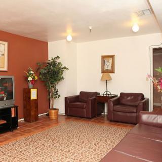 A cozy living room featuring leather furniture, a TV, and decorative elements.