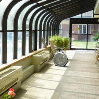 A sunlit hallway with large windows and a wheelchair next to some plants.