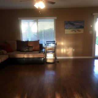 A cozy living room with wood flooring, a large couch, and a painting on the wall, illuminated by natural light through the window.