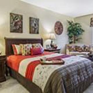 A cozy and well-decorated bedroom featuring a bed with colorful linens, decorative pillows, wall artwork, and a potted plant.