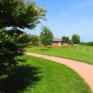 A peaceful park scene featuring a winding pathway surrounded by lush greenery and a clear blue sky.
