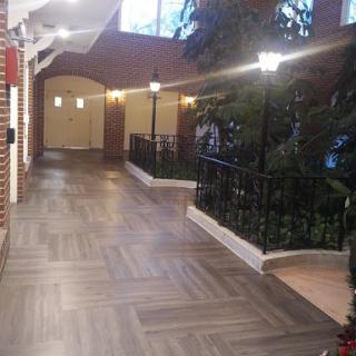 A beautifully lit corridor featuring decorative plants and stylish flooring.