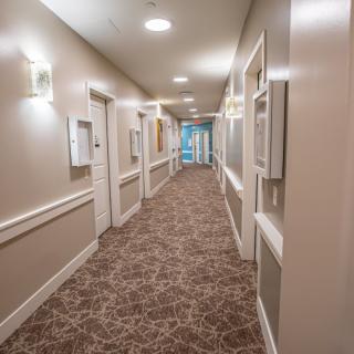 A well-lit hallway with carpet and multiple doors.