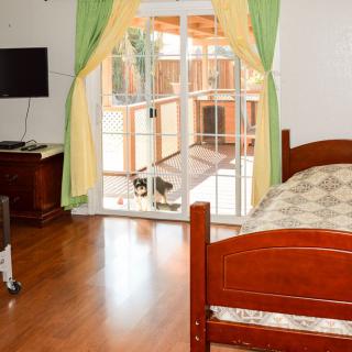 A cozy bedroom with a wooden bed, television, and sliding glass doors opening to an outdoor space.