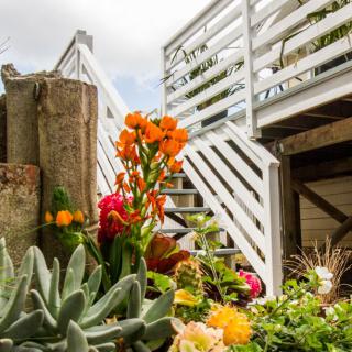 A vibrant garden scene with colorful flowers and a white staircase in the background.