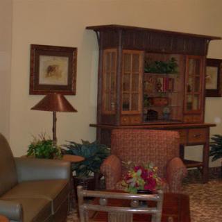 A cozy living room setup featuring a comfortable sofa, decorative elements, and plants.