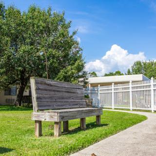 A wooden bench in a peaceful park setting under a clear blue sky.