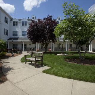 A serene courtyard with benches surrounded by trees and a building.