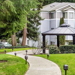 A scenic pathway leading to a gazebo in a residential area, surrounded by lush greenery and trees.