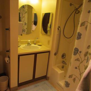 A small bathroom featuring a sink with mirror, shower area with curtain, and storage cabinets.