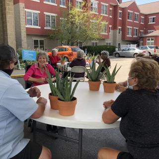 A group of seniors enjoying an outdoor gathering around a table with potted plants.