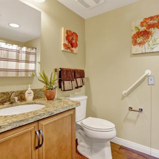 A small, well-appointed bathroom featuring a granite countertop, wooden cabinets, decorative artwork on the walls, and an indoor plant for added freshness.