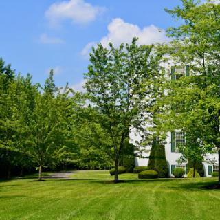 A serene house surrounded by lush greenery and a well-maintained lawn under a clear blue sky.